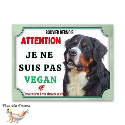 Plaque de portail humour Attention au chien Bouvier bernois je ne suis pas vegan
