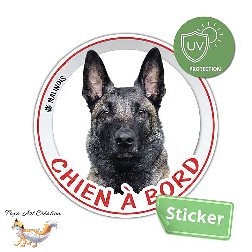 Sticker Chien à bord Berger Belge Malinois Autocollant Voiture